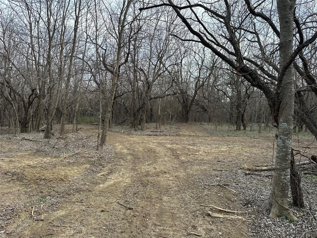 R M Williamson - Land