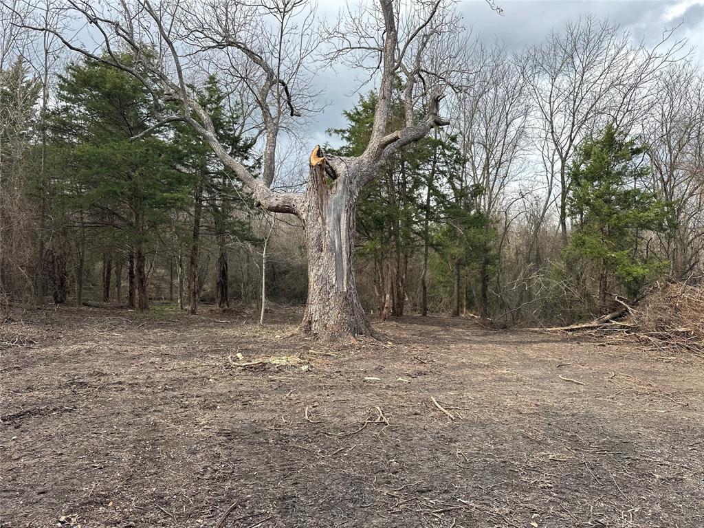 R M Williamson - Land