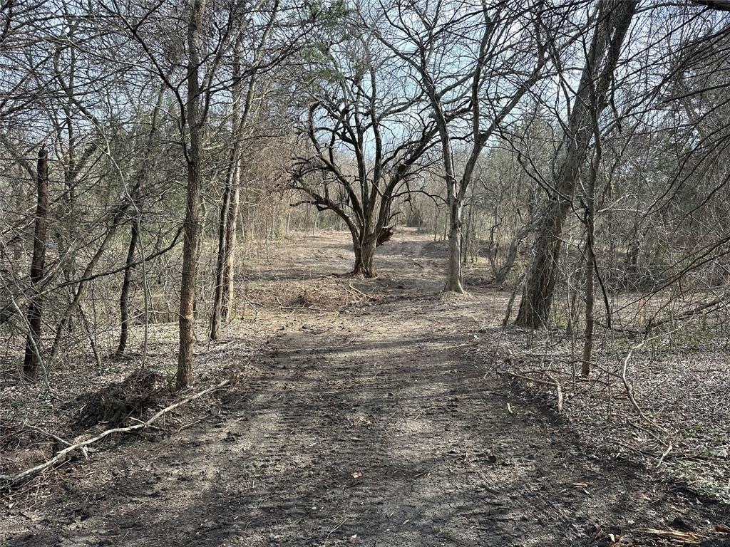 R M Williamson - Land