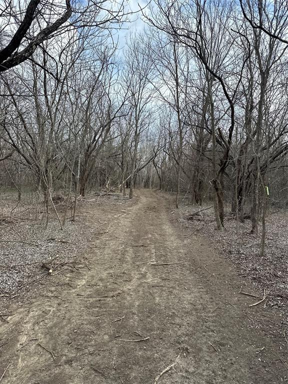 R M Williamson - Land