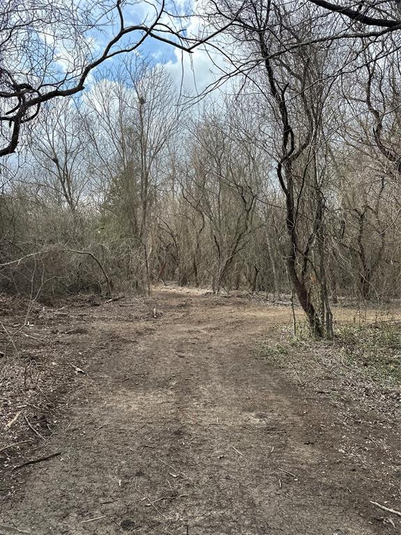 R M Williamson - Land