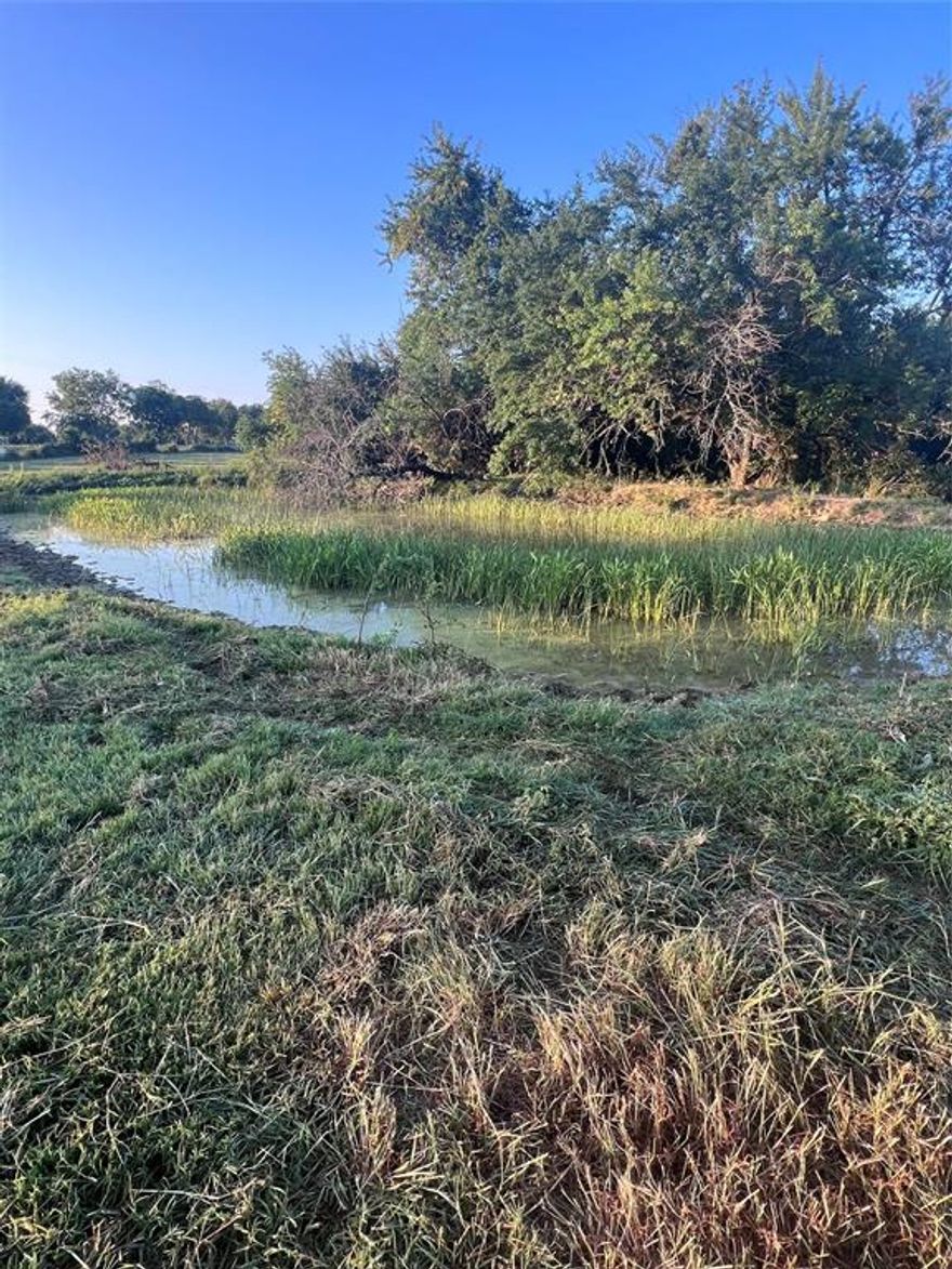 Welcome to this beautiful 10+ acre property located on Hwy 19 in the peaceful community of Birthright, Texas. This spacious lot offers a perfect balance of open pasture and serene wooded areas, ideal for a variety of uses – whether you're looking to build your dream home, start a hobby farm, or simply enjoy the natural beauty of the land. Features of this property include a picturesque pond, perfect for relaxation, fishing, or wildlife viewing. Expansive open pasture ideal for livestock, gardening, or simply enjoying wide-open spaces. Wooded areas that provide privacy, shade, and a habitat for local wildlife. Convenient access right off Hwy 19, with easy commuting to nearby areas. With its combination of open land and wooded charm, this property offers endless possibilities for those seeking country living with convenient access to amenities. Whether you're looking to escape the city or create a beautiful retreat, this property in Birthright is ready for you to make it your own.

Don't miss the chance to own this incredible piece of land! Contact us today to schedule a tour and see all that it has to offer!