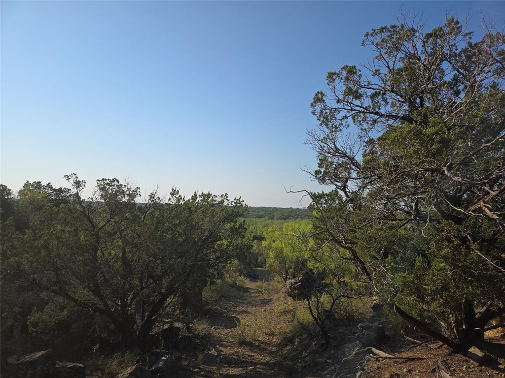 Brazos Mountain Ranch - Land