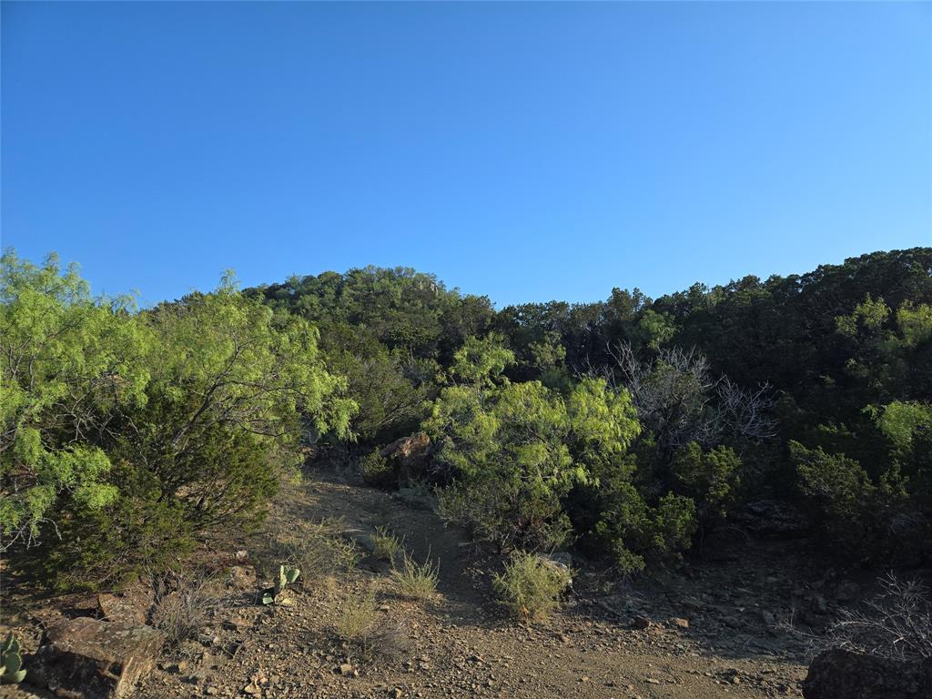 Brazos Mountain Ranch - Land