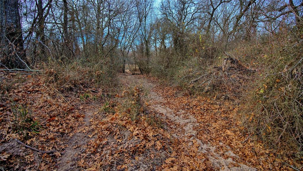 The Calhoun County School Land - Land
