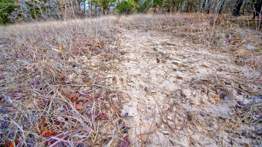 The Calhoun County School Land - Land