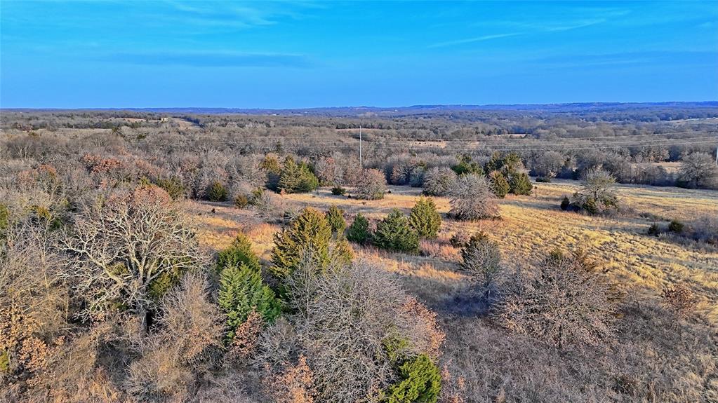 The Calhoun County School Land - Land