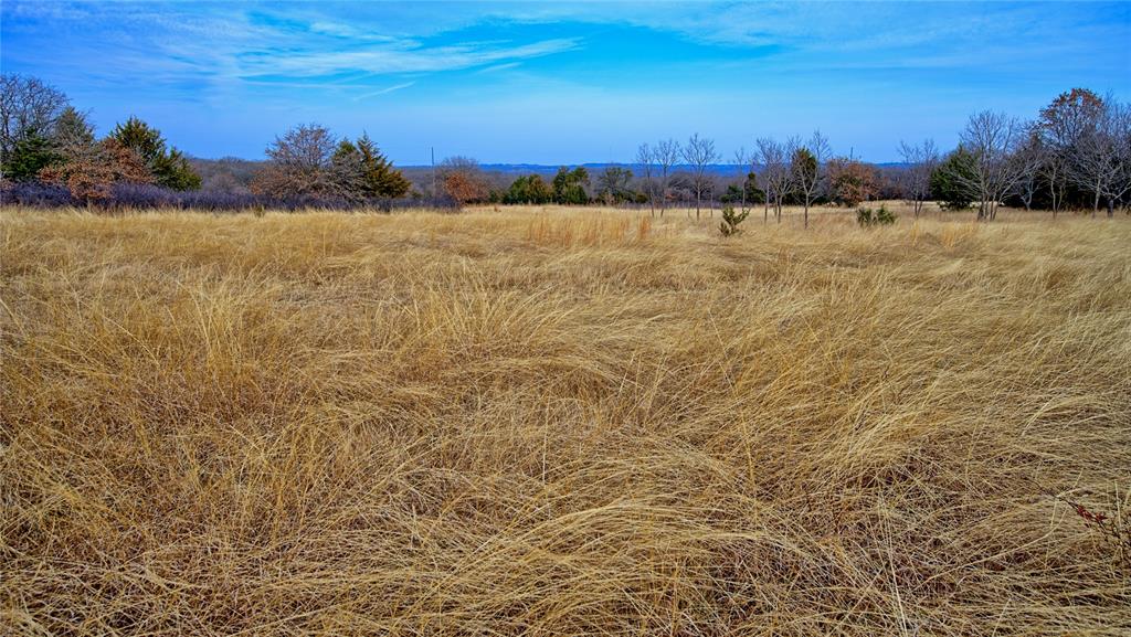 The Calhoun County School Land - Land