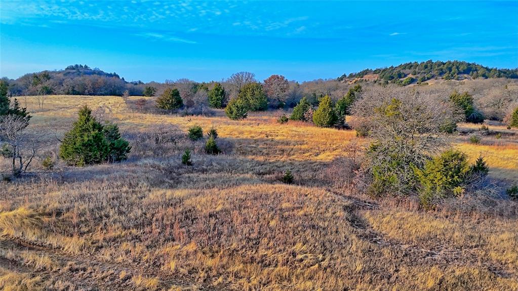 The Calhoun County School Land - Land