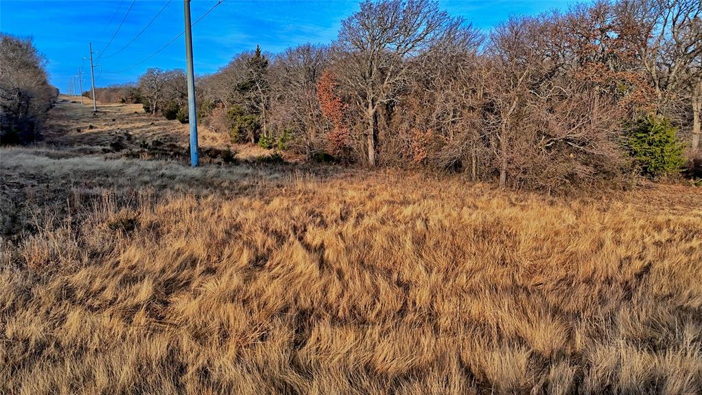 The Calhoun County School Land - Land