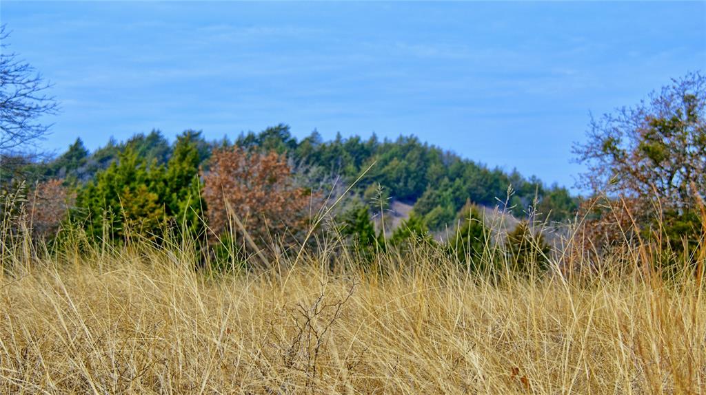 The Calhoun County School Land - Land