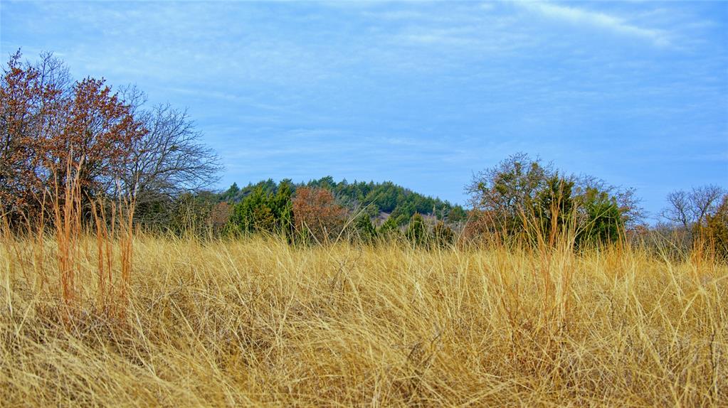 The Calhoun County School Land - Land
