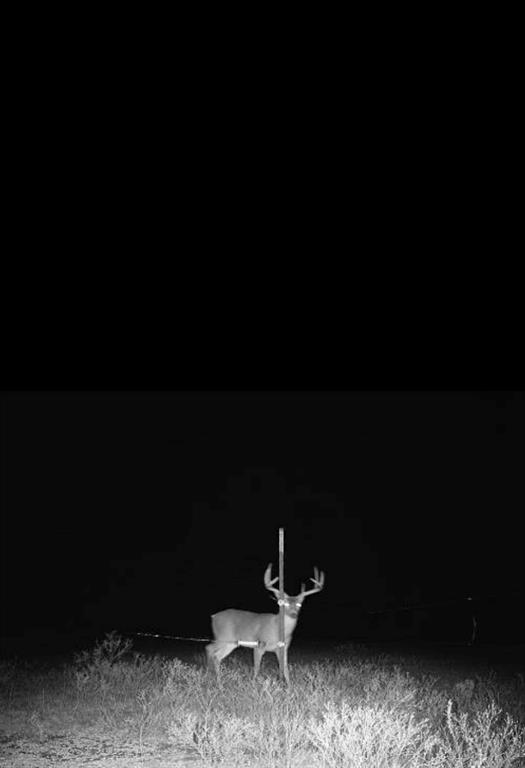 The Calhoun County School Land - Land