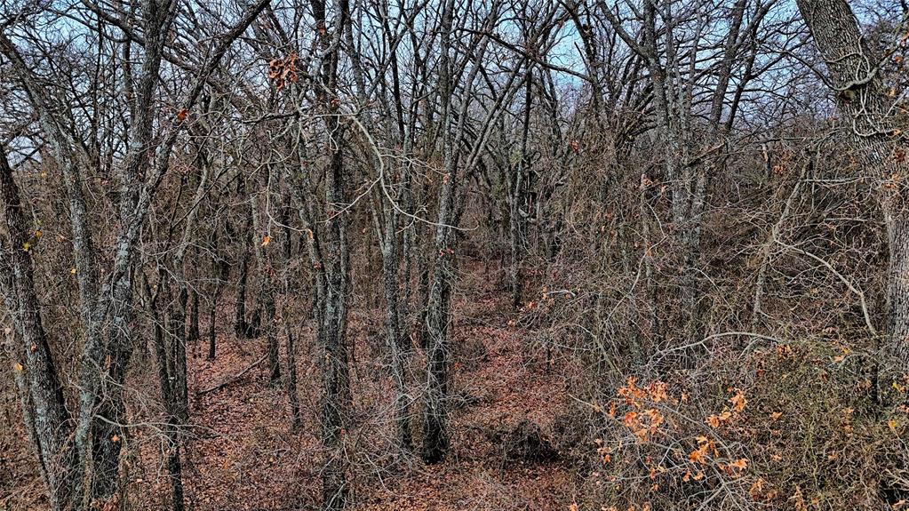 The Calhoun County School Land - Land