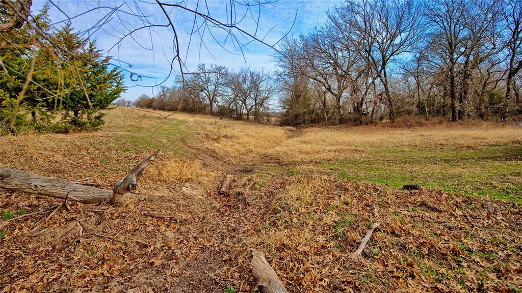 The Calhoun County School Land - Land