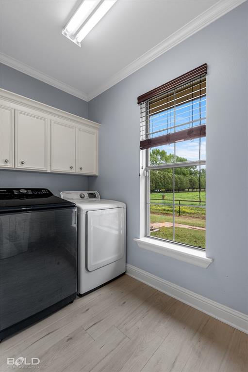 swan lake - Residential