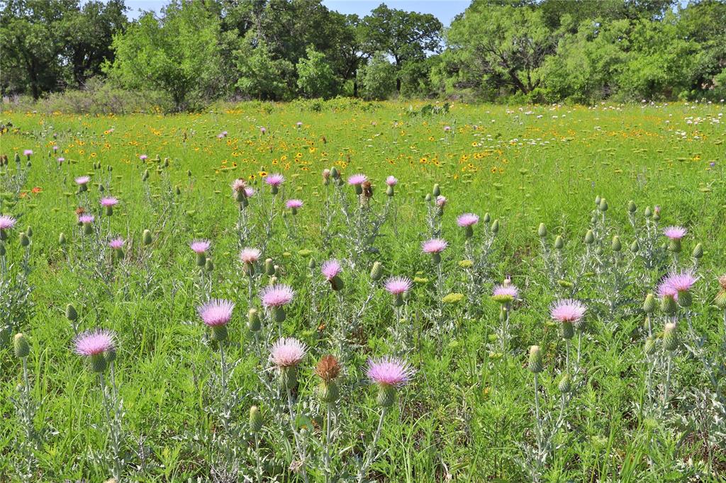 7R Ranch Estates - Land