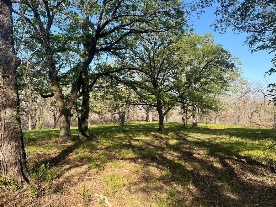 Have you been looking for the perfect location with dockable shoreline on the newest lake in North Texas, Bois d' Arc Lake? No HOA to deal with so pick your spot among the majestic oaks that are scattered throughout the 6.6 acres to place your dream home. One of the only properties available on the west end of the lake with dock capable shoreline and this one has over 1400 feet of it. With just a small amount of clearing for a boat lane you can be in the main chanel of Bois d' Arc Creek and enjoy access to all the lake has to offer. And did I mention it is accessed via a paved county road? Well it is so no driving your luxury vehicle down miles of rough rock and gravel road to get to your lake home. If that is not enough to make this the perfect location then there is even more! The entrance to this property is less than a mile and a half from the very popular Lake Bonham recreation area and boat ramp! Pictures don't do this property justice so don't wait to come explore this property and all the surrounding area has to offer.