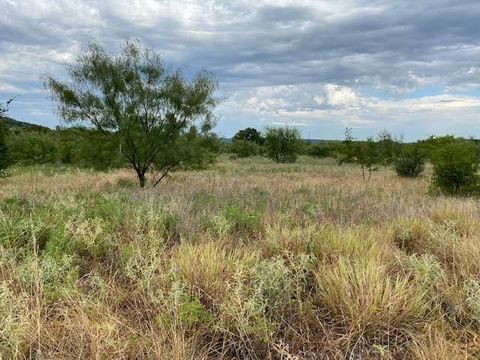 Lot 23 Northern Bobwhite Court Graford TX 76449