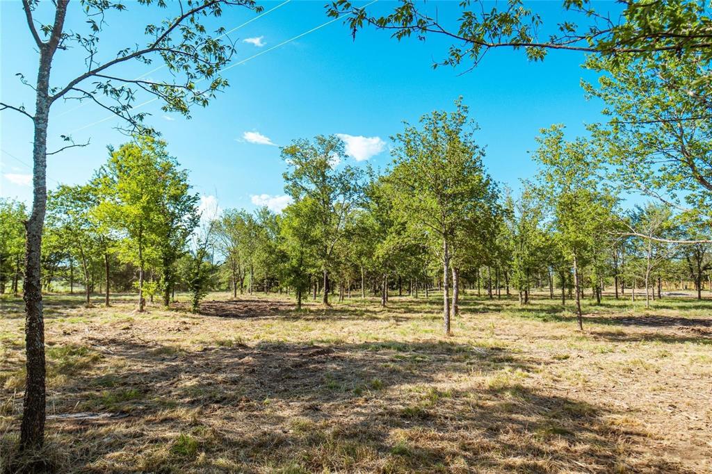Lot 5 County Road 297