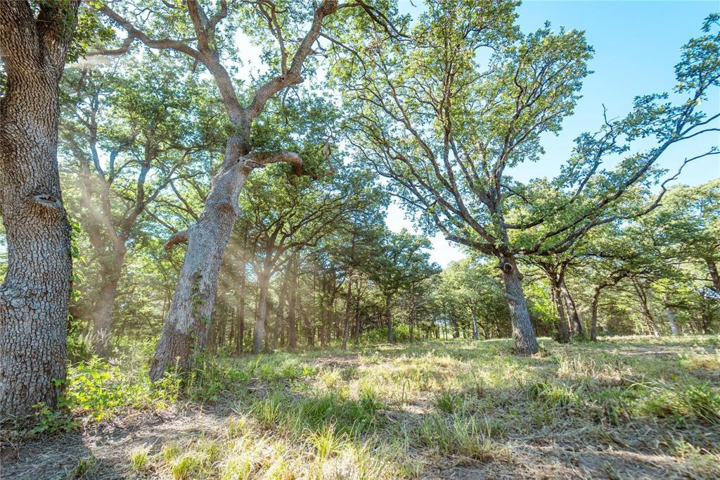 Lot 5 County Road 297