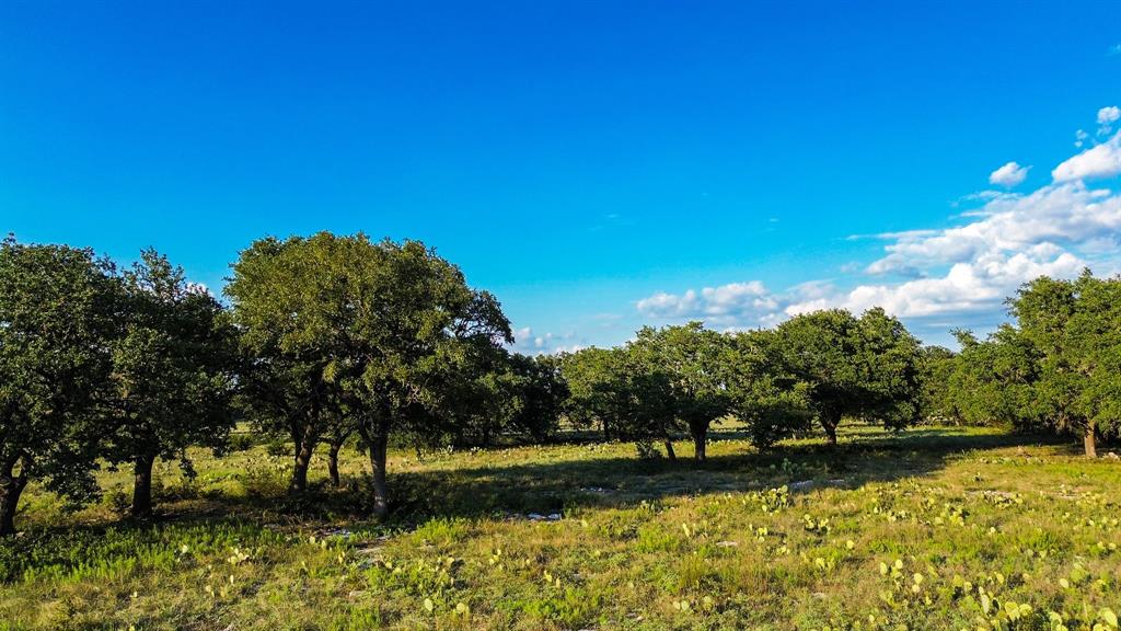 Ranches At Blackbuck Ridge - Land