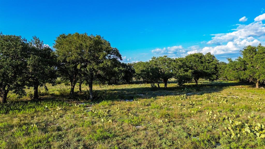 Ranches At Blackbuck Ridge - Land