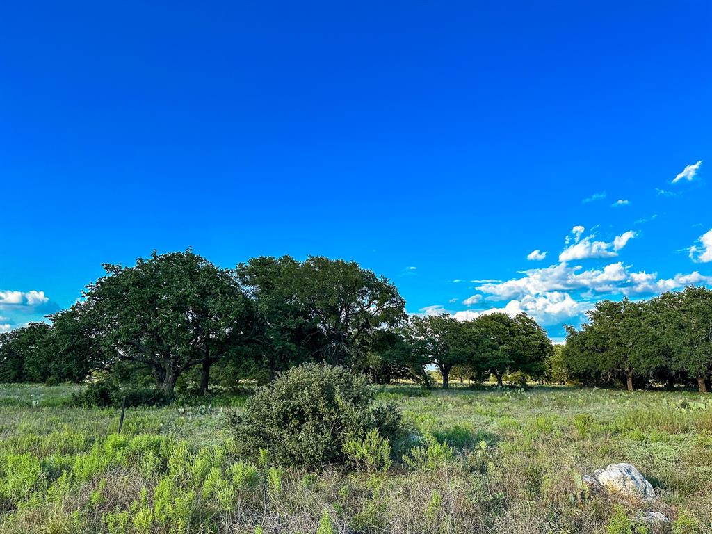 Ranches At Blackbuck Ridge - Land