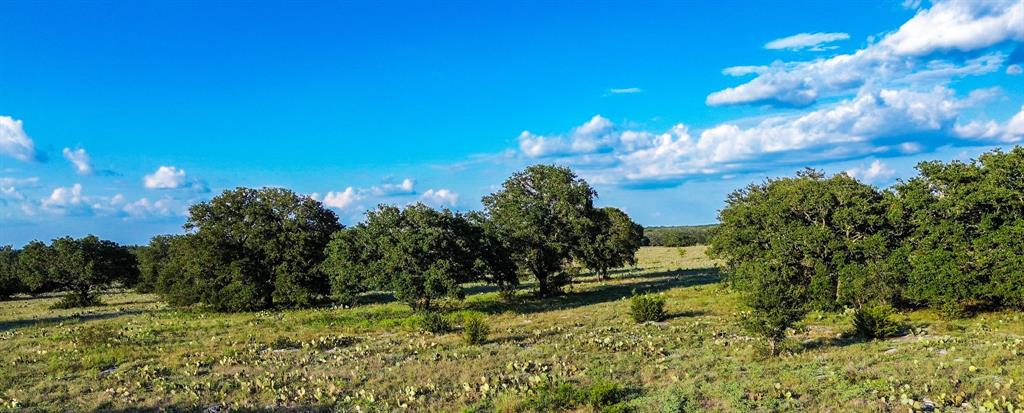 Ranches At Blackbuck Ridge - Land