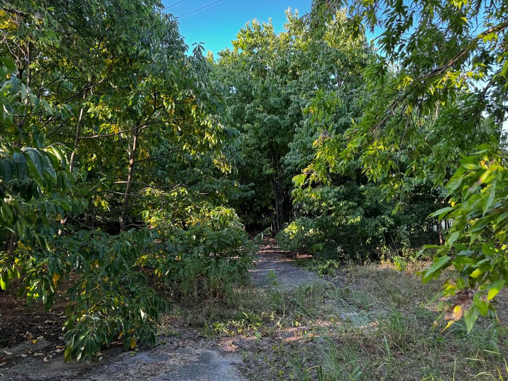 4270 Belz Road