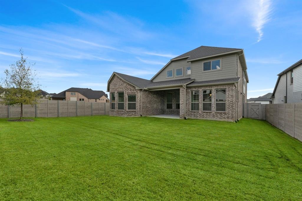 Painted Tree - Residential