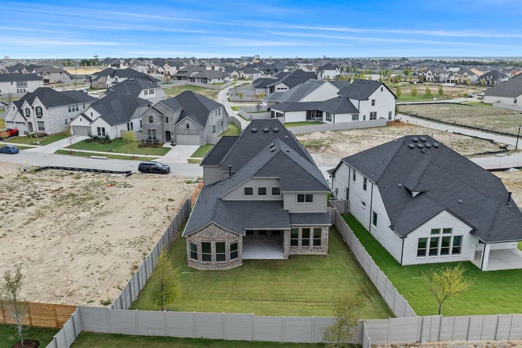 Painted Tree - Residential