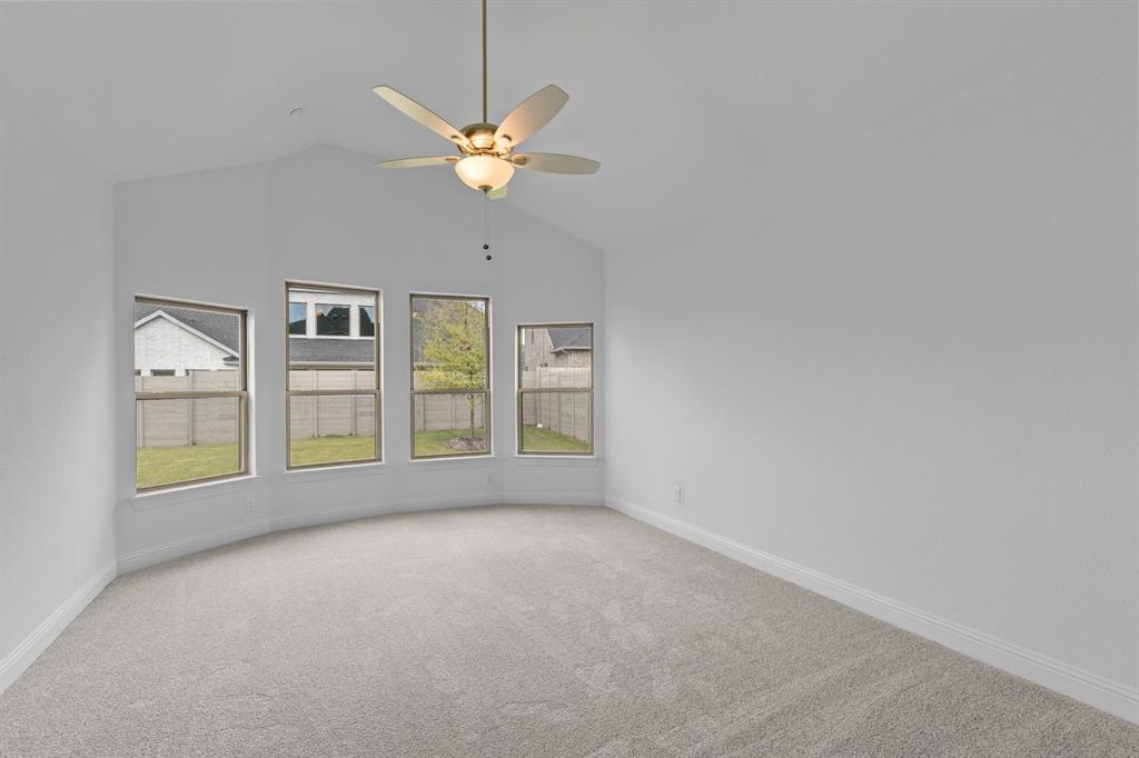 Painted Tree - Residential