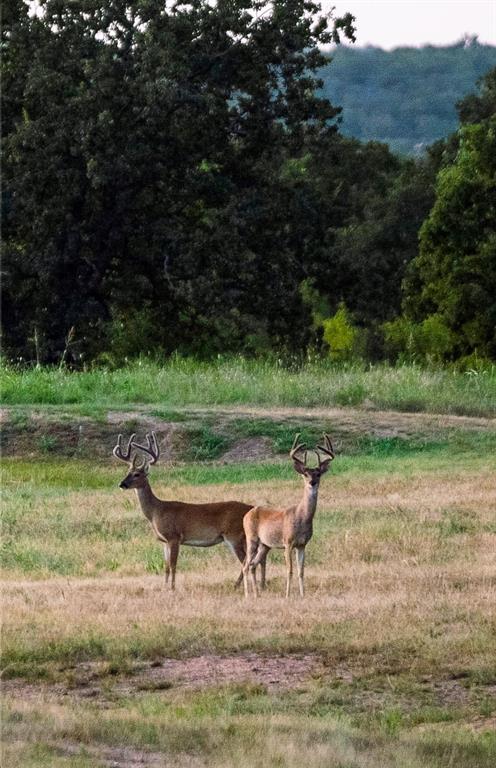 H&Tc 1733 - Residential