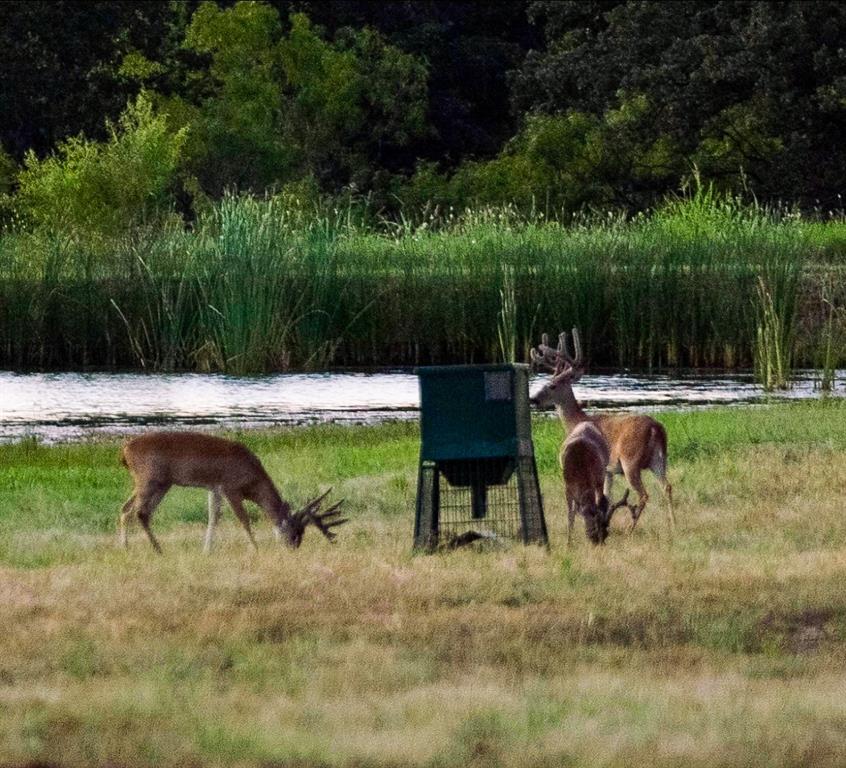 H&Tc 1733 - Residential