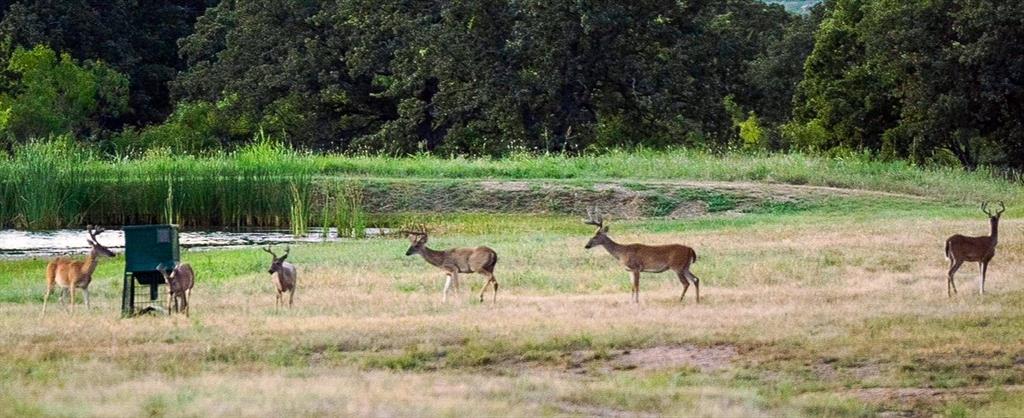 H&Tc 1733 - Residential