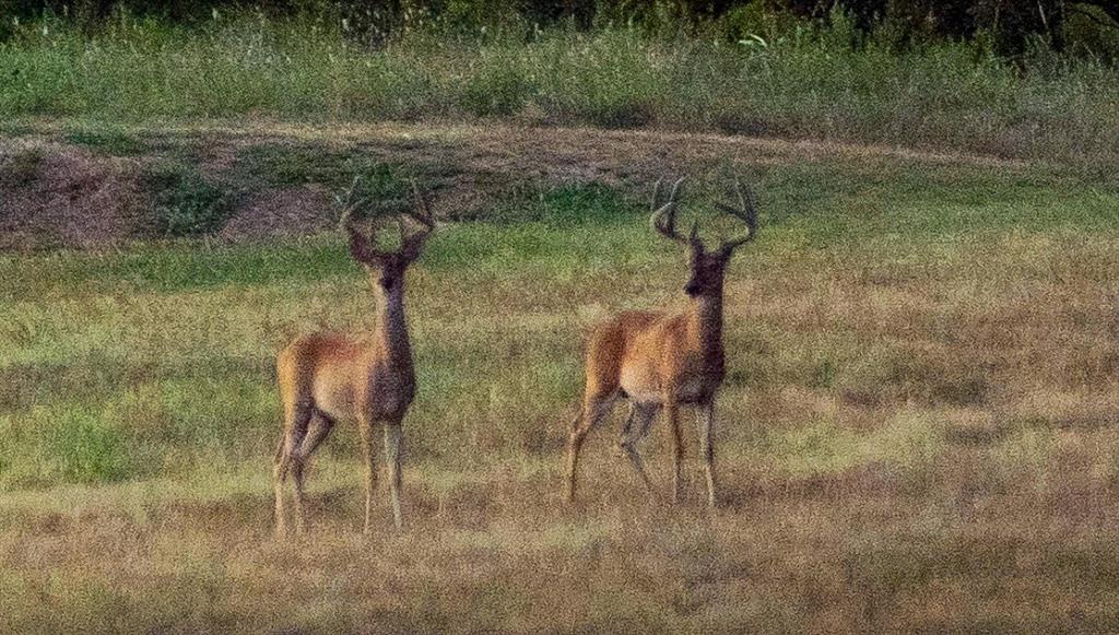 H&Tc 1733 - Residential