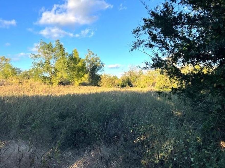 Nice corner tract of land ready for your new home.  Property is partially fenced rolling pasture, with a pond, scattered trees, and a water meter in place.
