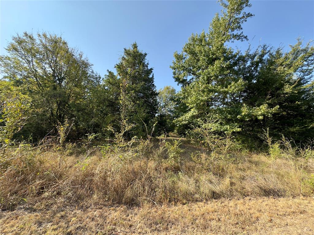 Lot 19 Tanglewood Drive