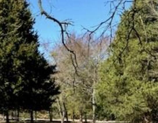 Lot 19 Tanglewood Drive