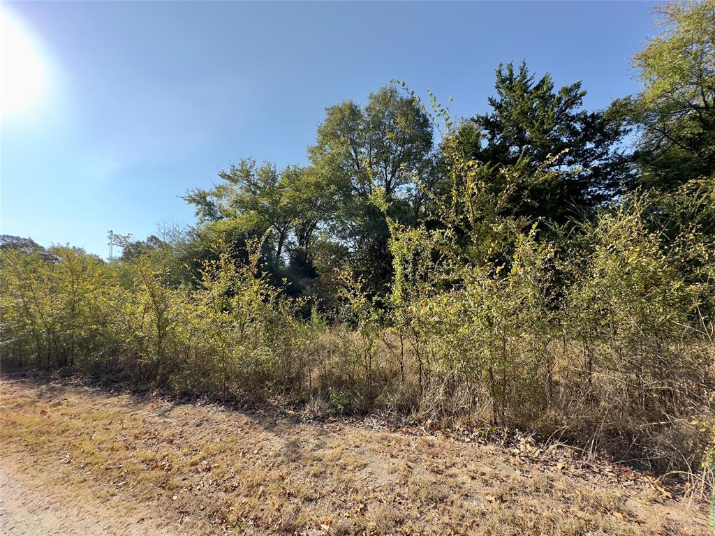 Lot 19 Tanglewood Drive