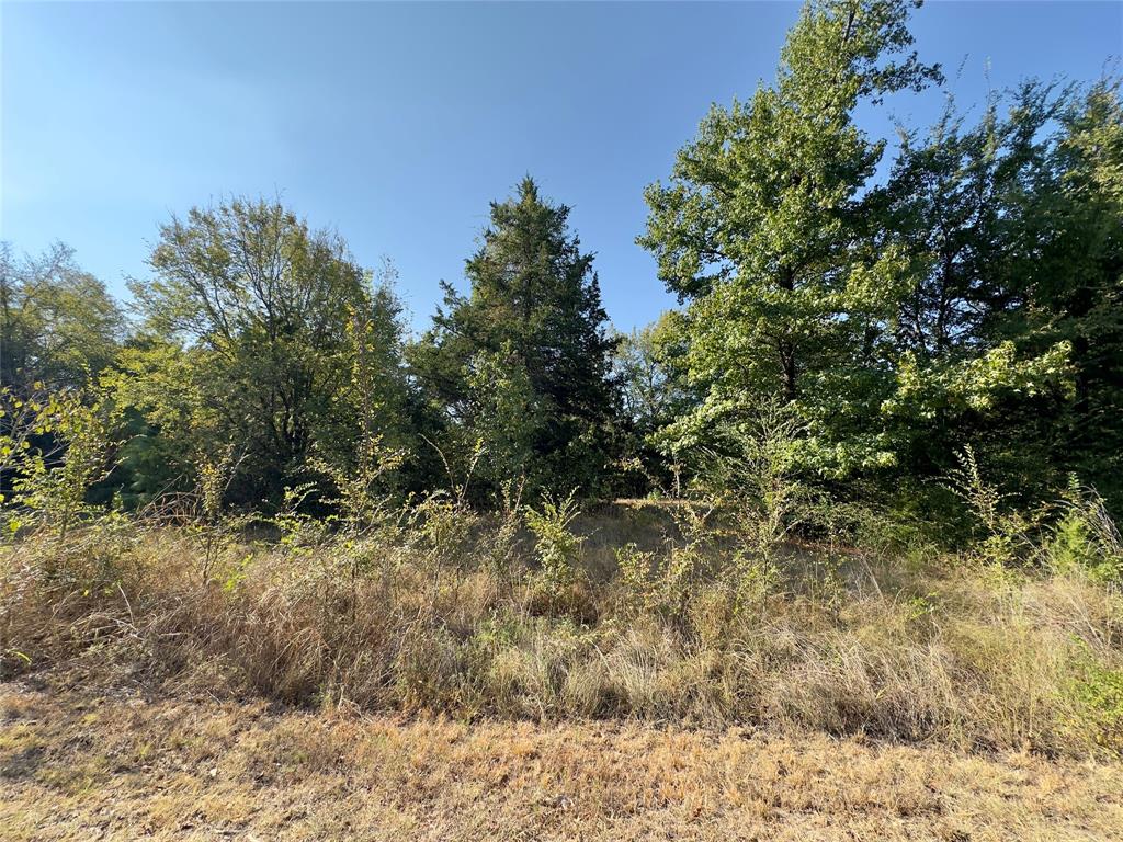 Lot 19 Tanglewood Drive