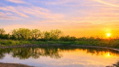 Photo of TBD County Road 224, Jonesboro, TX 76538 (MLS # 21205167)