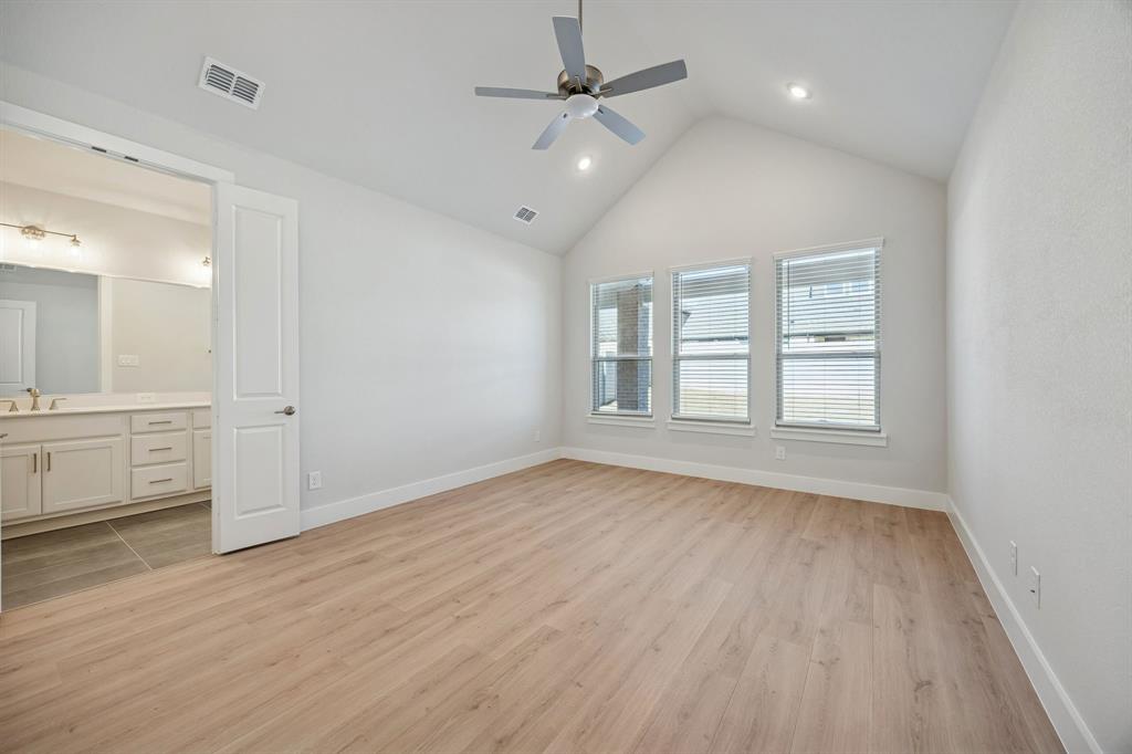 Painted Tree - Residential