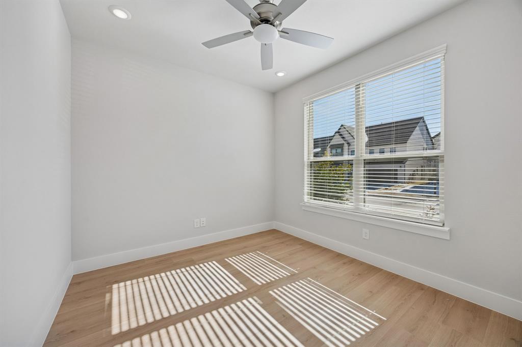 Painted Tree - Residential