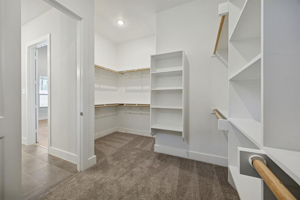 Painted Tree - Residential