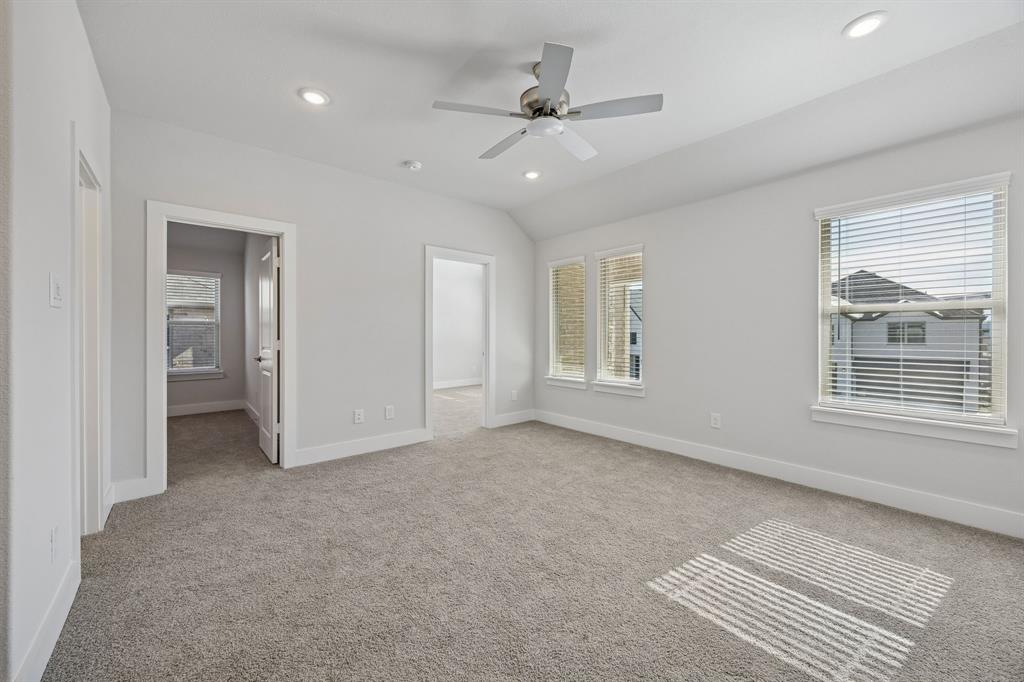 Painted Tree - Residential