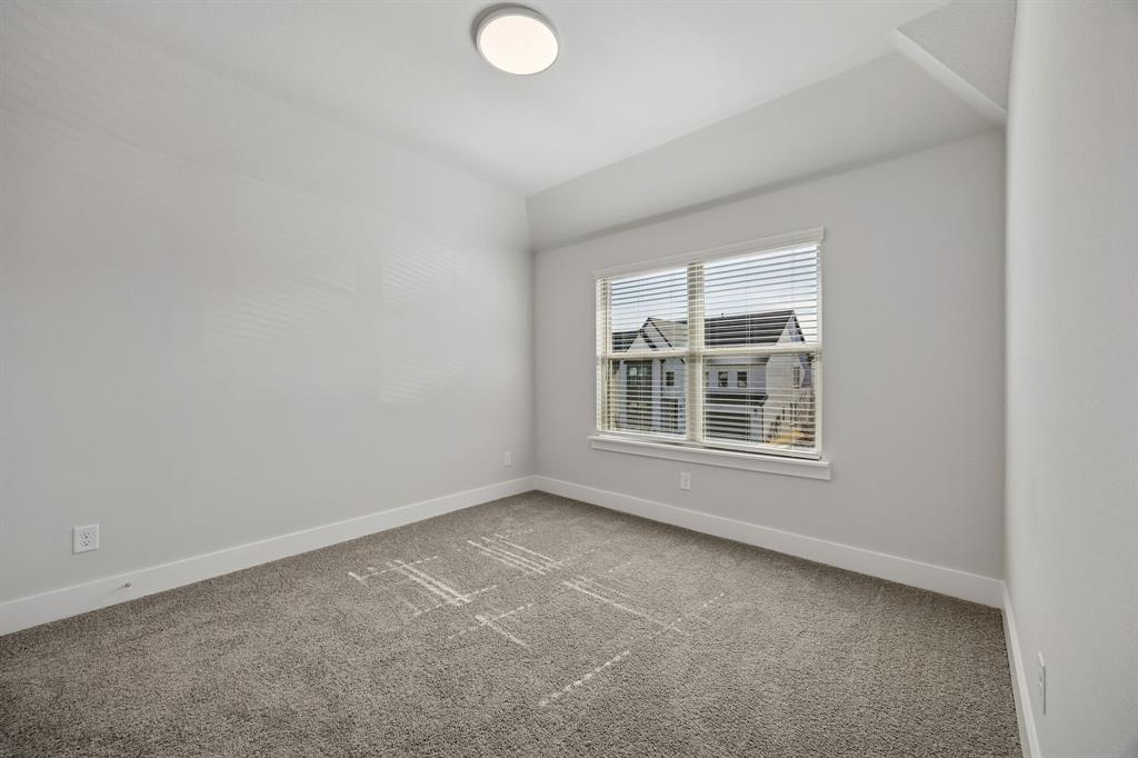 Painted Tree - Residential