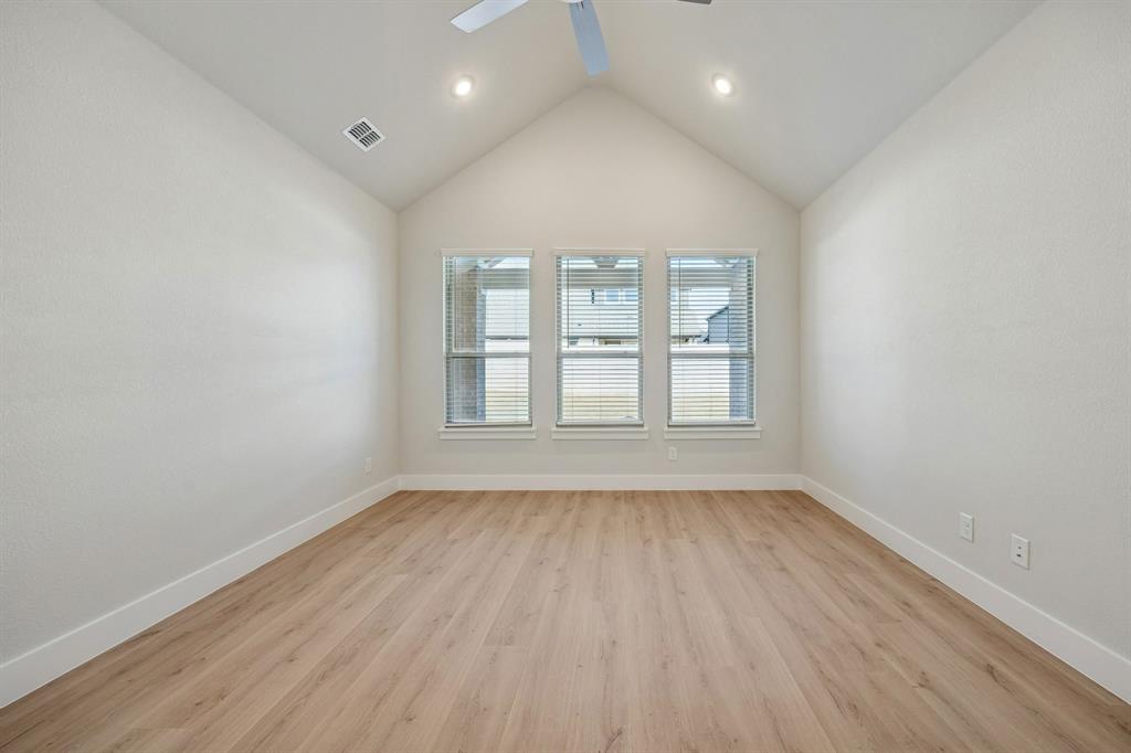 Painted Tree - Residential