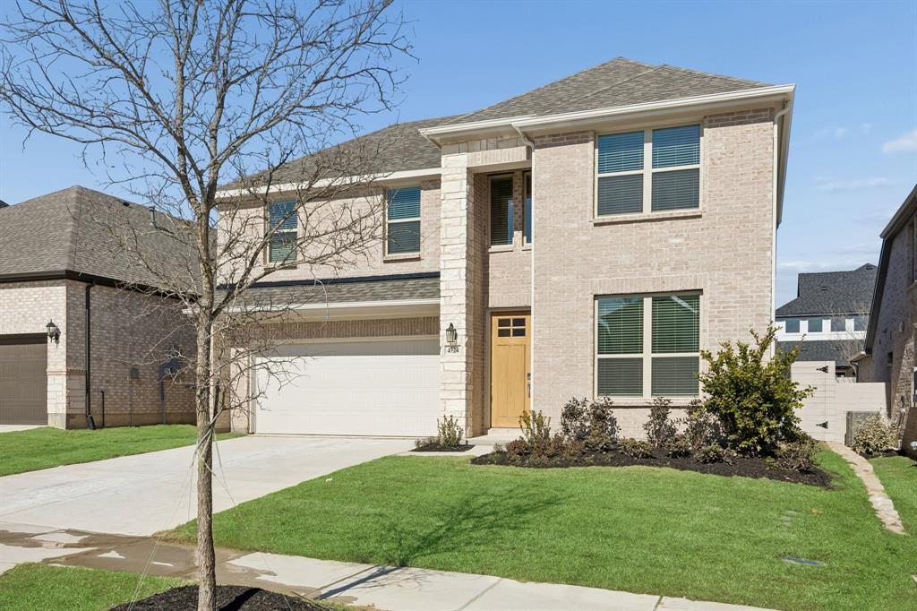 Painted Tree - Residential